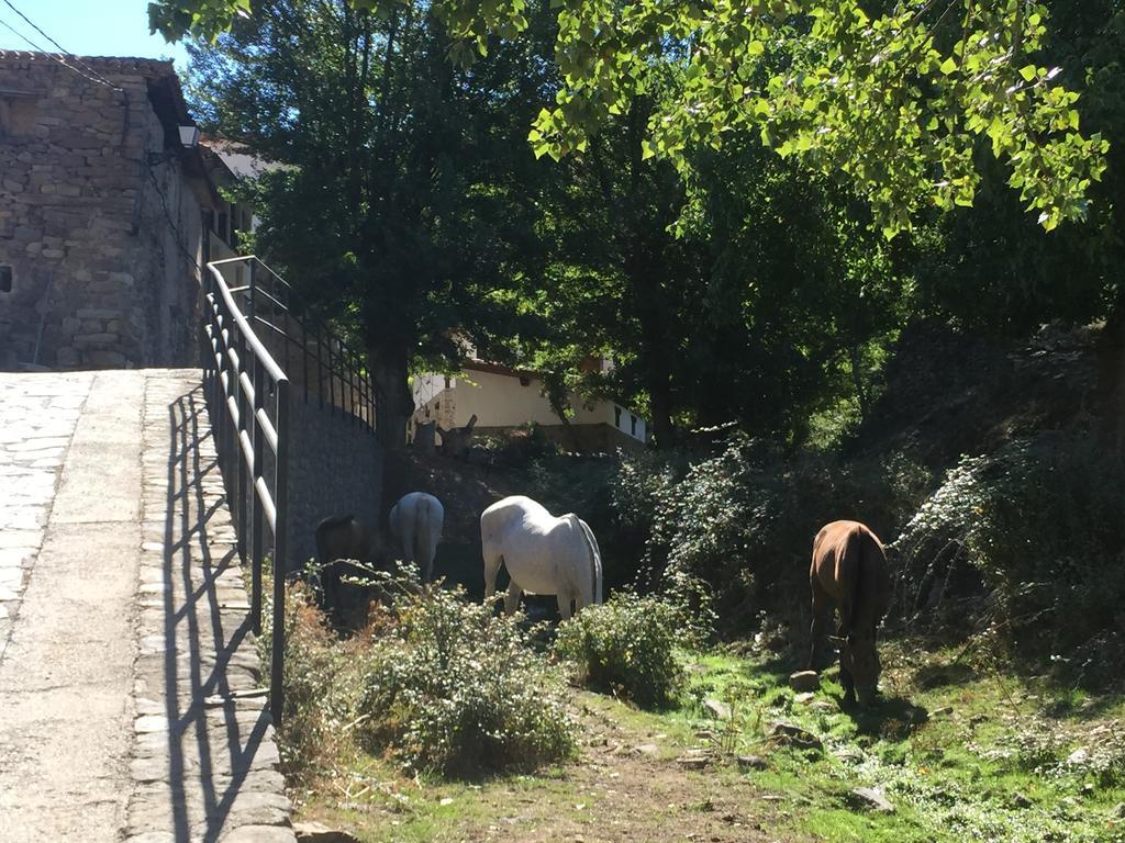 San Román de Cameros Casa Tia Upeヴィラ エクステリア 写真