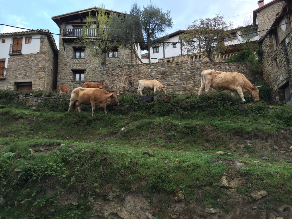 San Román de Cameros Casa Tia Upeヴィラ エクステリア 写真